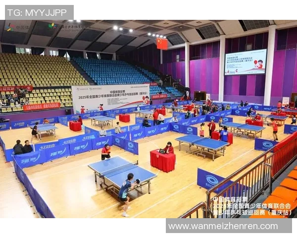 今年运动数据重庆乒乓球队的速度之道与训练秘诀探讨
