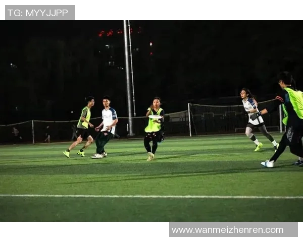 实时新闻南京飞盘队进攻战术解析与实战表现的深入探讨